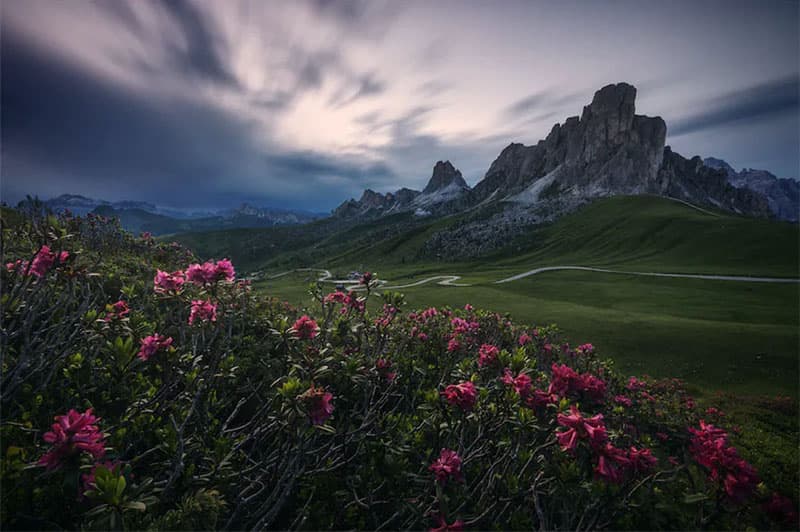 عکس 1. به توزیع متعادل وزن بصری در این عکس توجه کنید. کوه، گلستان، آسمان ابری و حتی زمین سرسبز همگی جاذبه بصری خاص خود را دارند و در ترکیببندی عکس، هر کدامشان بهدرستی در چهار ناحیهی قاب تصویر توزیع شدهاند. (عکاس: Leonardo Papèra)