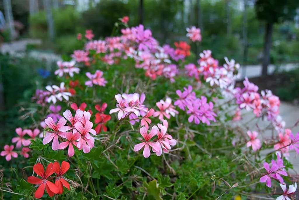 عکس 3. فاصله کانونی لنز 26 میلیمتر، ایزو 100، سرعت شاتر 1/60 ثانیه و دیافراگم f/4.0