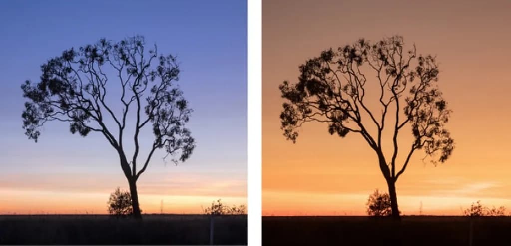 عکس 1. دو نما از یک منظره در زمان یکسان: عکس سمت راست نور غالب گرم اما عکس سمت چپ نور غالب سرد دارد. از نظر نورشناسی، دمای ایندو نوع نور متفاوت است. تنظیم متفاوت «تراز سفیدی» در دوربین سبب میشود تا نورهای صحنه تا این حد متفاوت پردازش شوند و خروجی متفاوتی داشته باشند.